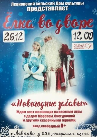 Новогодние забавы