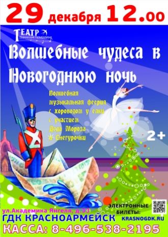 Волшебные чудеса в Новогоднюю ночь