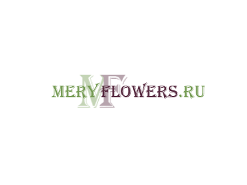 Флористическая студия