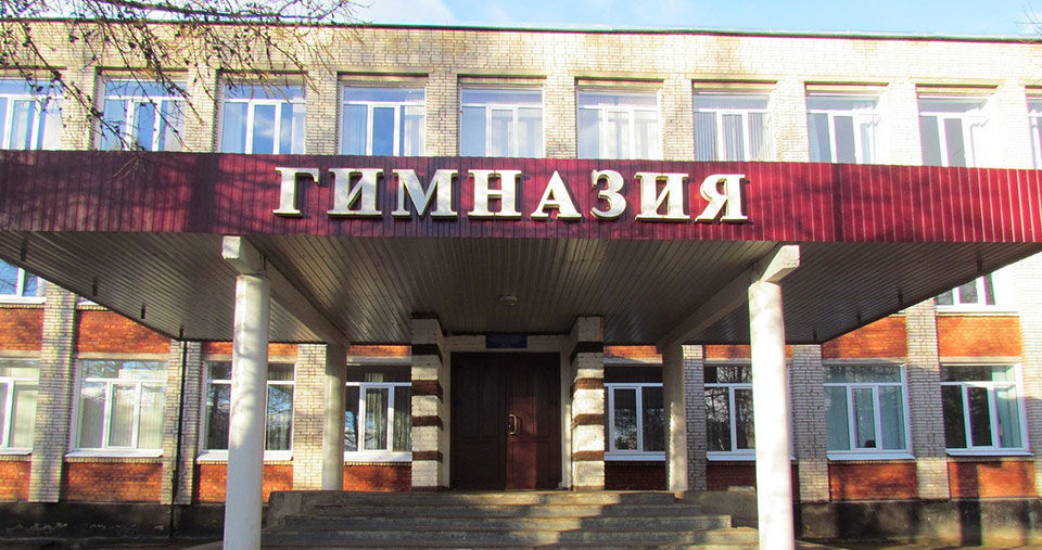 Гимназии Пушкино