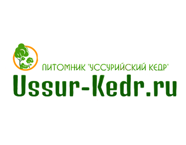 Питомник Сосны Кедровой Корейской