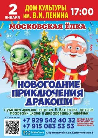 НОВОГОДНИЕ ПРИКЛЮЧЕНИЯ ДРАКОШИ