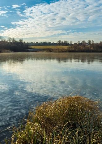 Аксаковская уха