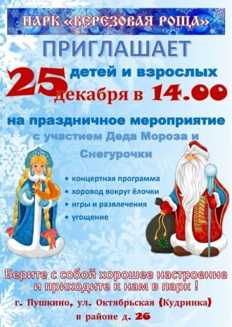 Праздничное новогоднее мероприятие в парке