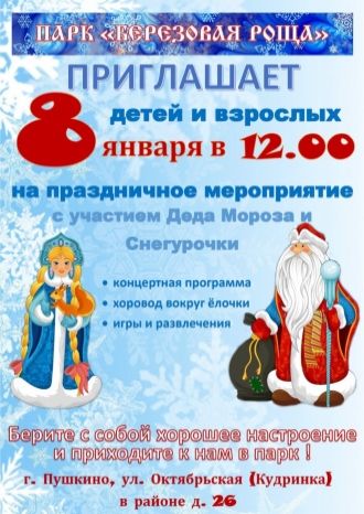 Праздничное новогоднее мероприятие в парке