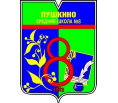 Пушкинская СОШ №8
