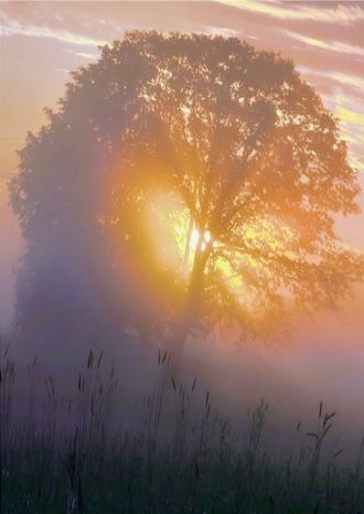 Душа поет…