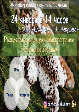 Снежные забавы