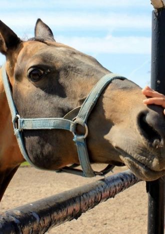 Юный богатырь!