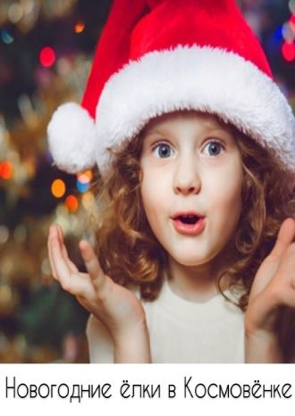 Новогодние елки в Космовенке