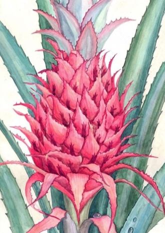 День соленого ананаса