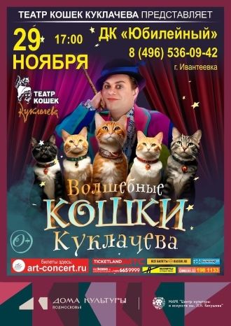 Волшебные кошки
