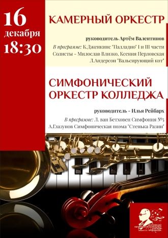 Камерный оркестр