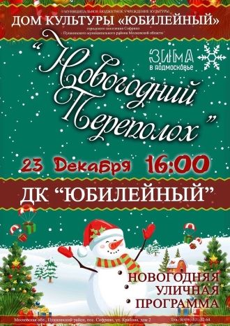 Новогодний переполох