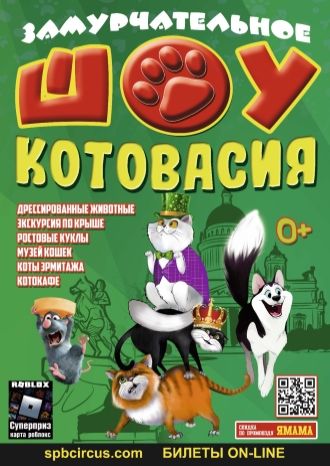 Шоу котовасия