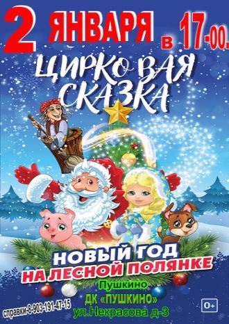 Новый год на лесной полянке