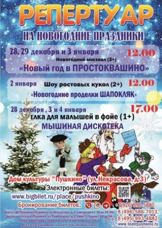 Новогодние праздники с Пушкинским музыкальным театром