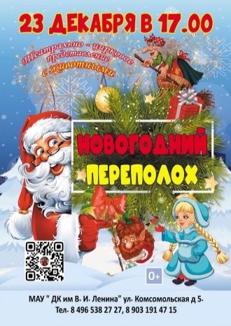 Новогодний переполох