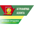 Аэлита