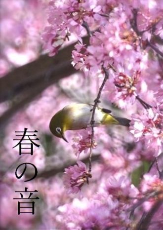 Звуки весны