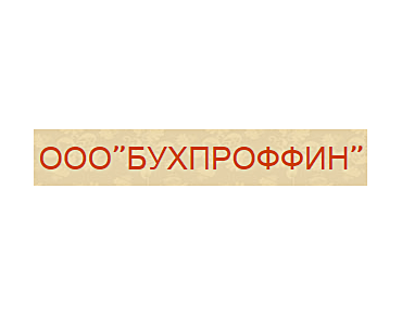 Профессиональные бухгалтерские услуги 