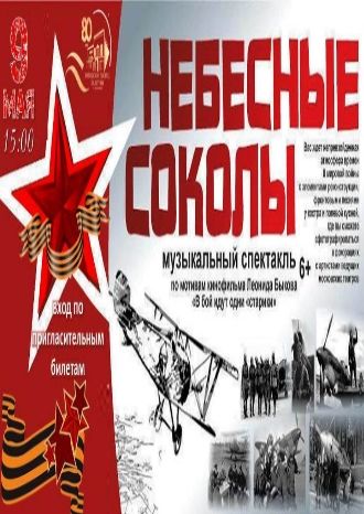 Небесные соколы