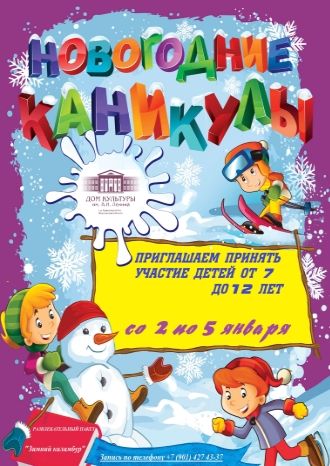 Новогодние каникулы