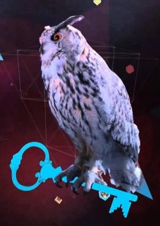 Клуб знатоков «Что? Где? Когда?» для школьников