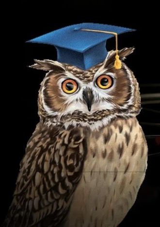 Что? Где? Когда?