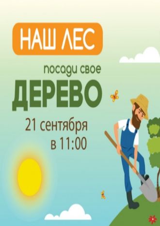 Наш лес. Посади свое дерево