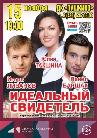 Идеальный свидетель