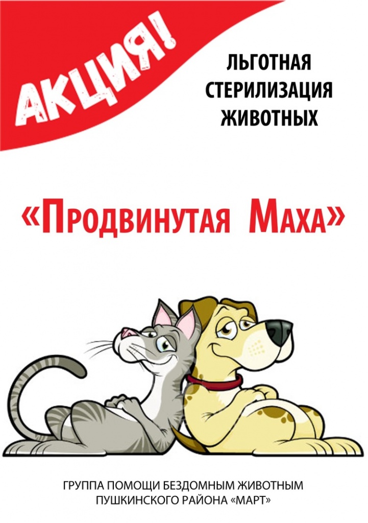 Акция льготной стерилизации в Пушкино Акция льготной стерилизации в Пушкино