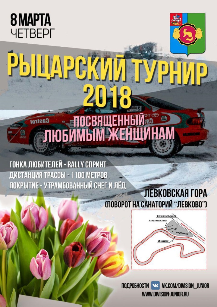 Рыцарский турнир в Пушкино