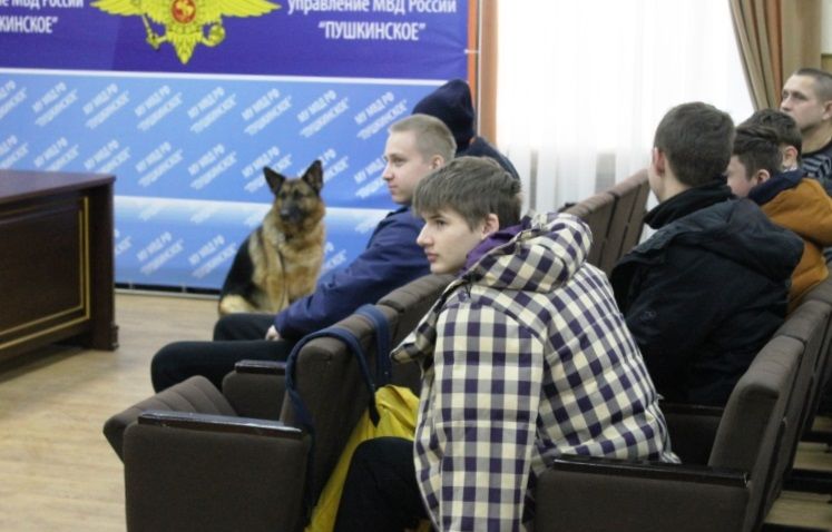 «Студенческий десант» в Пушкино