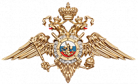 МУ МВД России Пушкинское