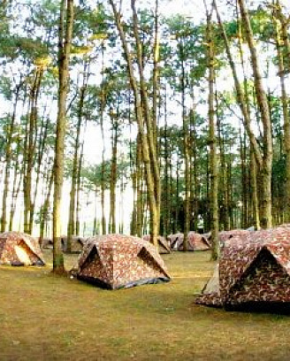 Детские лагеря