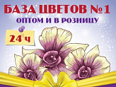 База цветов №1