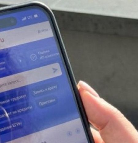 Услугу для семей с детьми-инвалидами оптимизировали на регпортале Подмосковья