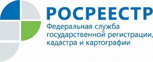 Росреестр Пушкино