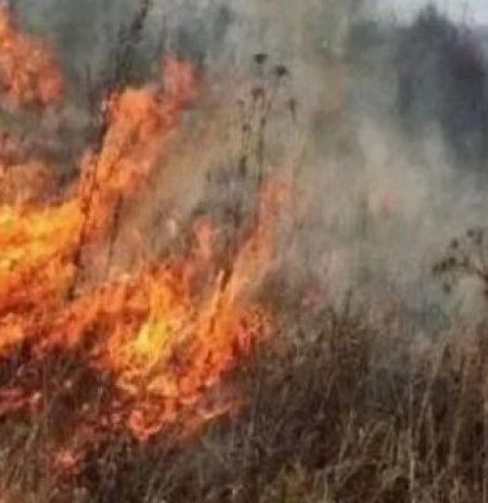 При наведении порядка на приусадебном участке разводить открытый огонь (сжигать сухую траву, мусор) запрещается!