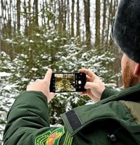 Операция «Елочка-2025» стартовала в Подмосковье