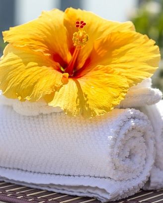 SPA-центры